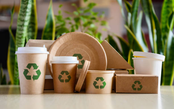 biodegradable food containers
